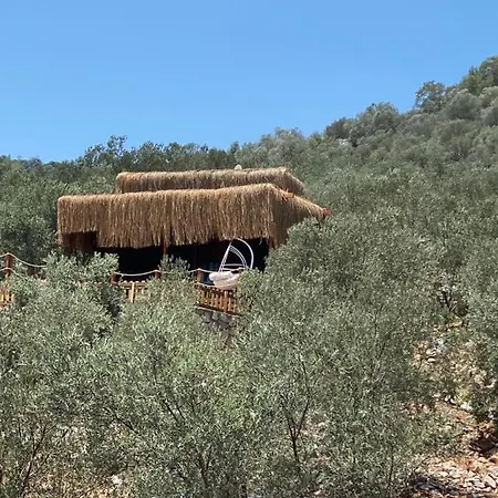 בית נופש Lovin Gocek & Tiny House Mermaid פאטהיה